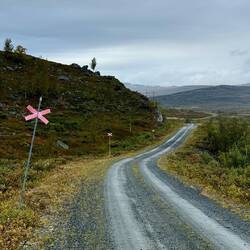 It's a long road...