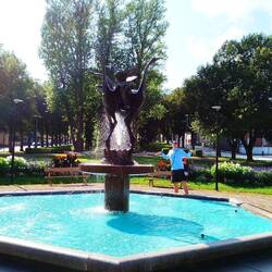 4 sterbende Schwäne 😁🤣