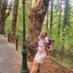 Hat bisschen was von "Narnia"