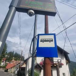 Warzen an der Bushaltestelle