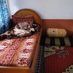 Tourist Garden Homestay