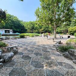 Die Rentner über Balance und andere Sportarten morgens im Park