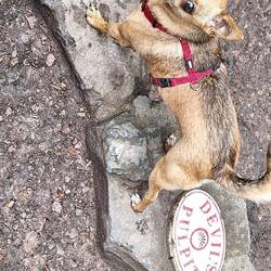 Devil und rechts das Schild 🤣