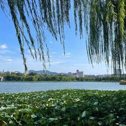 Daming Lake