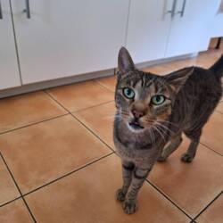 Sehr interessierte Gäste.😻