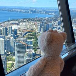 Sir Edmund genießt den Blick vom CN-Tower