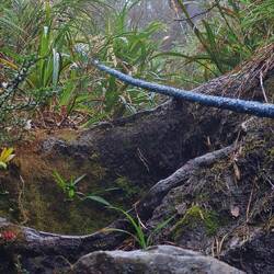 Mit Seilen gesichert