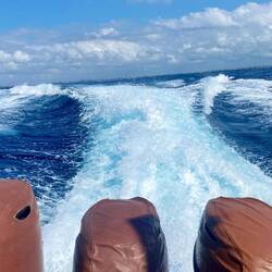 Anfahrt mit dem Speedboot