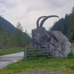 Ein echter "Stein"bock