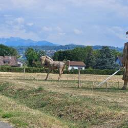 alles aus Stroh