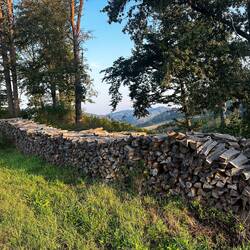 Wood pile stage 3: cut and sized for the fire. This is about 50 feet long and 6 feet high