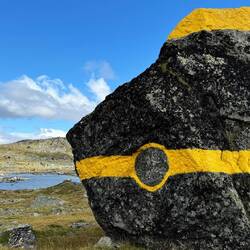Ivarstenen, Riksrøys 259