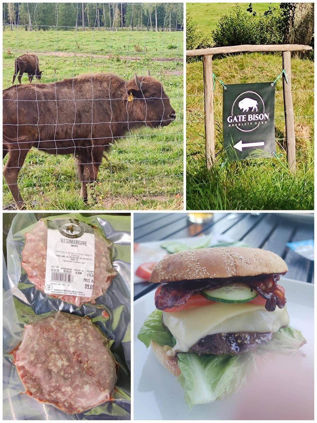 Mc Schummels auf der Bisonfarm