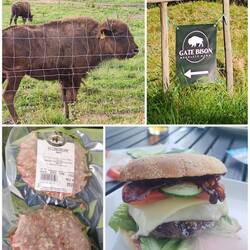 Mc Schummels auf der Bisonfarm