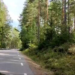 Der Weg zum Mittagessen. So wie Schweden eben ist.
