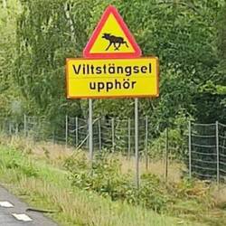 Viltstängsel upphör- Endlich der Hinweis, dass die Wildzäune enden. Wir warten immer darauf.
