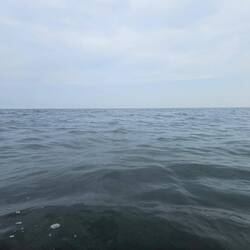 Kein Schiff weit und breit.