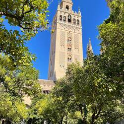Kathedrale von Sevilla... auf die Aussichtsplatform vom Turm marschiert