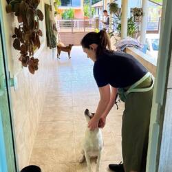 Das Beste an unserer Unterkunft: die Hunde!