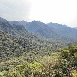 Wir lassen den Blick über Hügelketten voller Regenwald schweifen