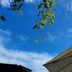Si si, il peut faire beau ici ! C'est un temps breton en fait...