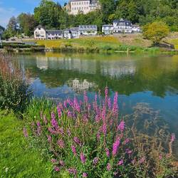 Schwanenweiher