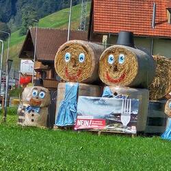 kreative Bauern