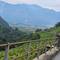 Blick nach Aigle