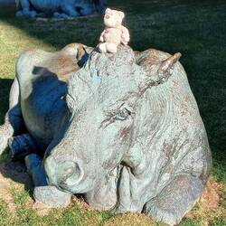 Sir Edmund beim morgendlichen Bullriding