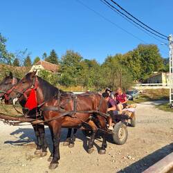 Zurück ging es mit 2 PS