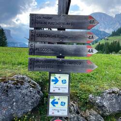 schwere Wahl