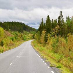 Wieder an the road - so sah es heute sehr oft aus 😉