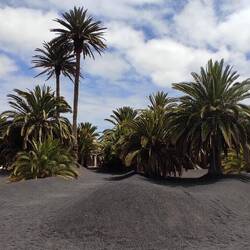 Sein Mut zum Lanzarote Garten