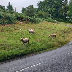 Neighbours