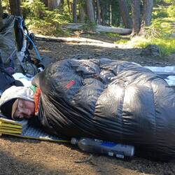 Ladybug beim Mittagsschlaf ;)