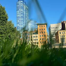 im Common Park in Boston