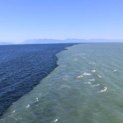 Grenze: Wo Meerwasser auf Süßwasser trifft.