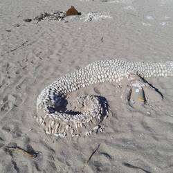 Sand and seashell sculptures