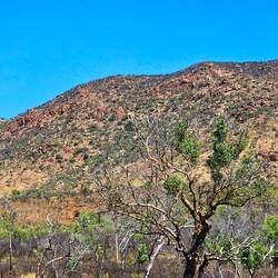 National Route 83 Cloncurry