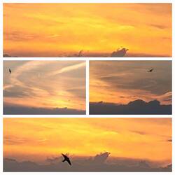 Sonnenuntergang