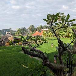 Ubud