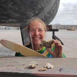 Was an Muscheln alles so in den Saildrive Schächten gelebt hat. Livia hat sie unermüdlich herausgepi