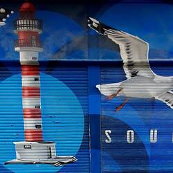 Encore des mouettes...
