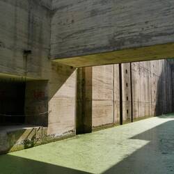 Wasserbecken mit Entengrütze, irgendwie entspannt