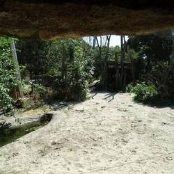 Löwchen und Tigerchen