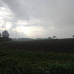 Gewitter