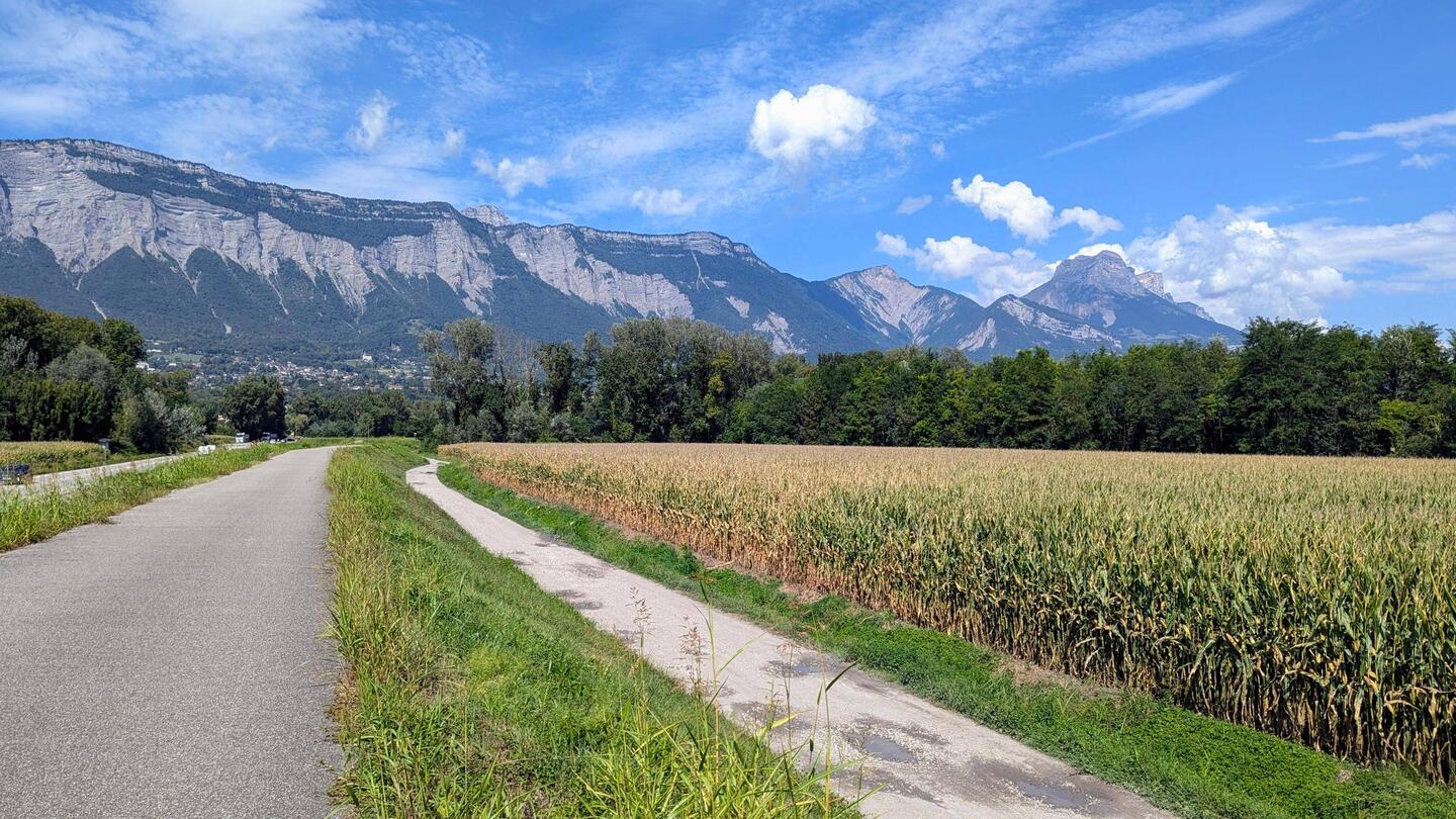 The Chartreuse fence