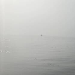 Angler im Nebel