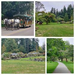 Stanley Park zur Waterfront
