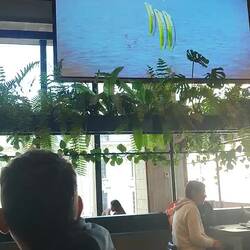 Quando sei dall'altro lato del mondo e alla TV fanno vedere la tua città 😊